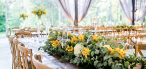 weddings at the butterfly pavilion