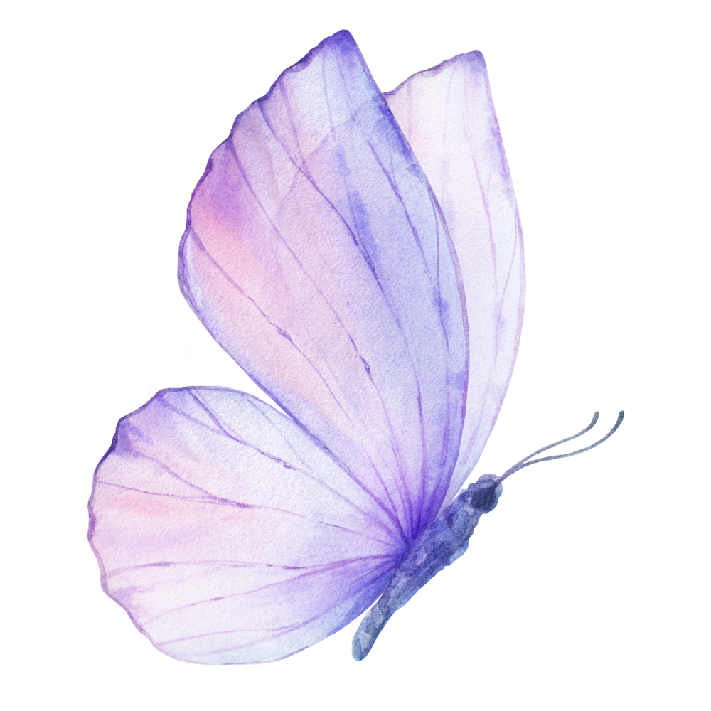 The Butterfly Pavilion - Top Wedding Venue Around Atlanta - Georgia - Acworth - Luxury - Unique - Beautiful - Outdoor - Indoor - Modern