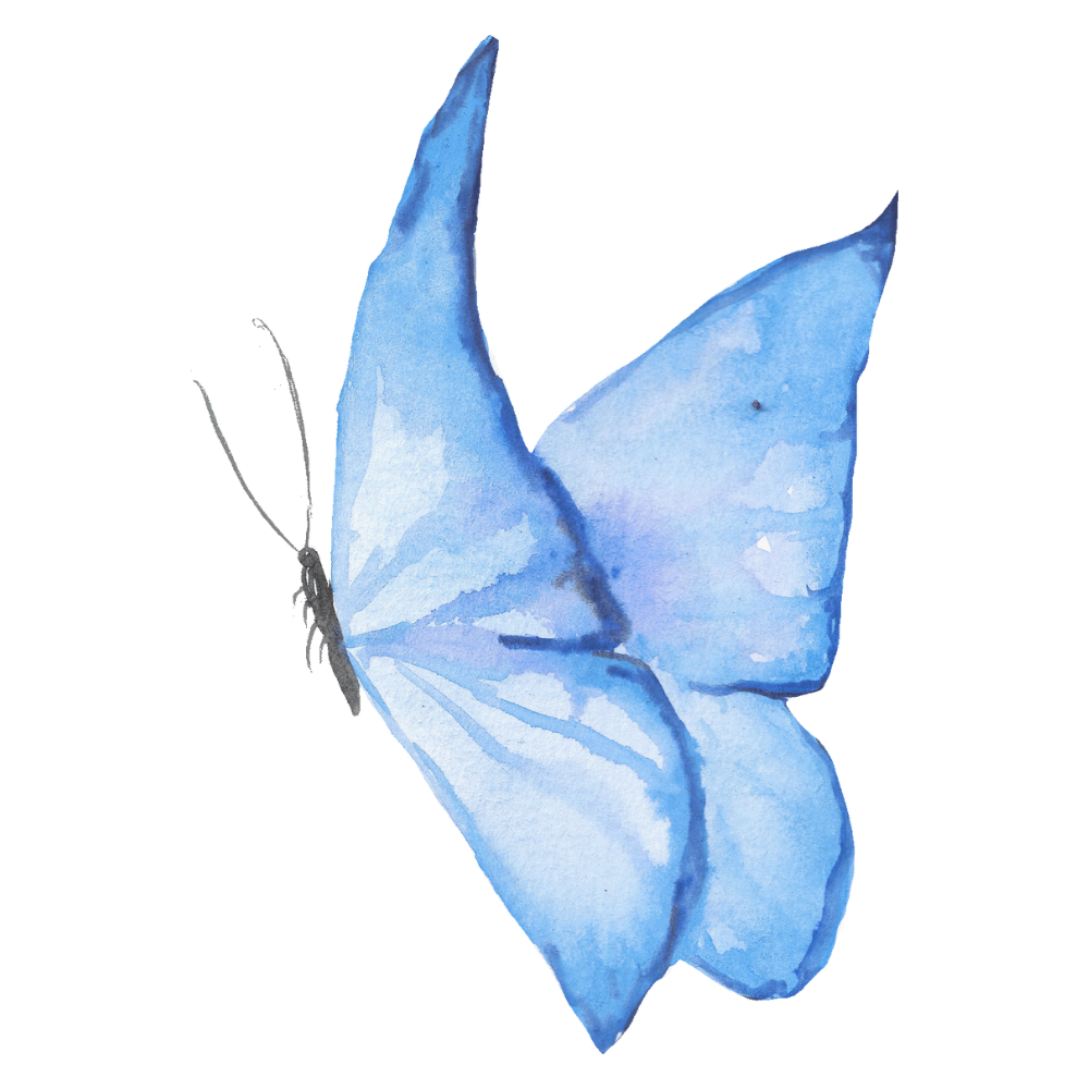 The Butterfly Pavilion - Top Wedding Venue Around Atlanta - Georgia - Acworth - Luxury - Unique - Beautiful - Outdoor - Indoor - Modern