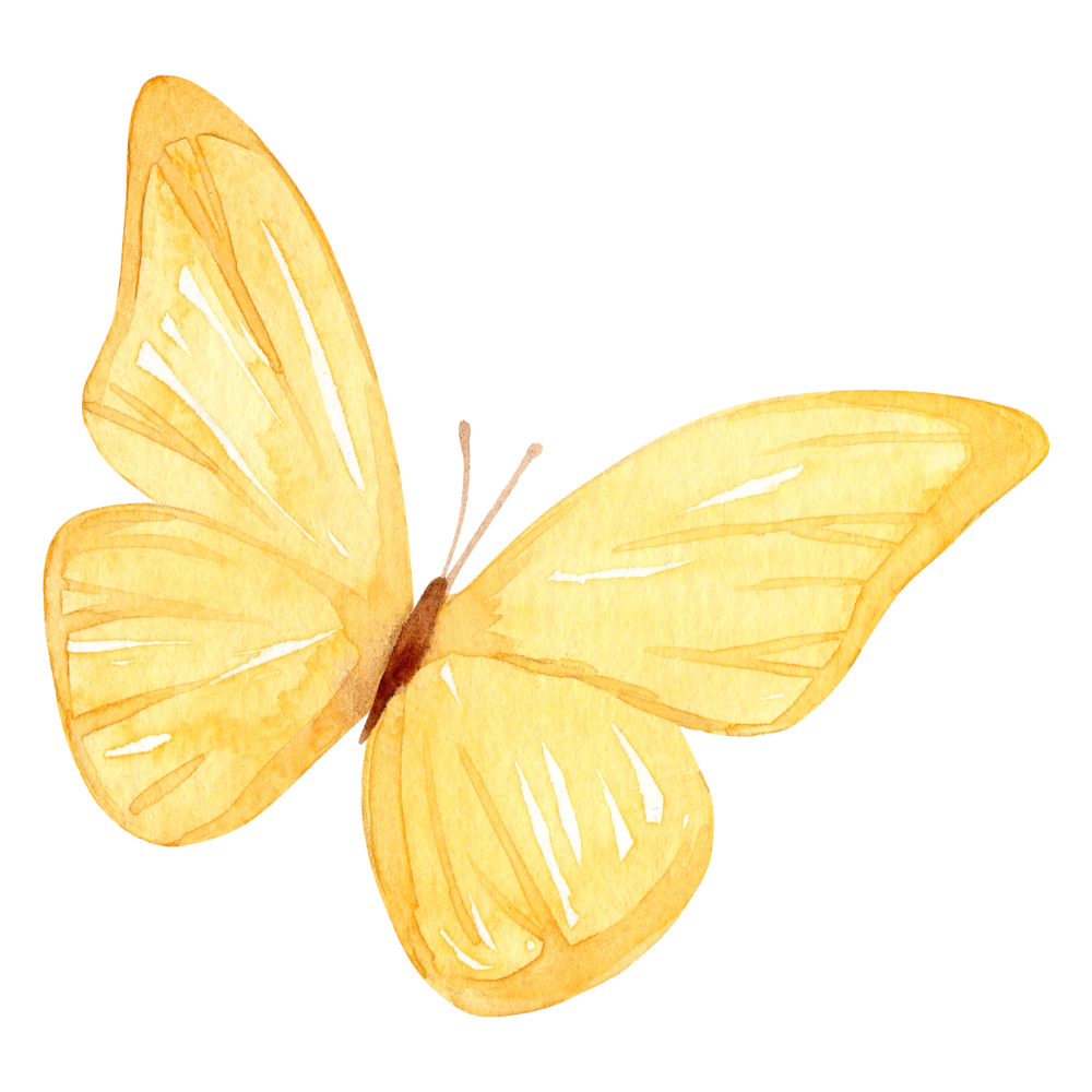 The Butterfly Pavilion - Top Wedding Venue Around Atlanta - Georgia - Acworth - Luxury - Unique - Beautiful - Outdoor - Indoor - Modern